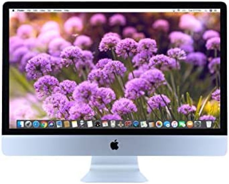 Apple iMac MF883LL/A 21.5-Inch 500GB Desktop (Renewed)