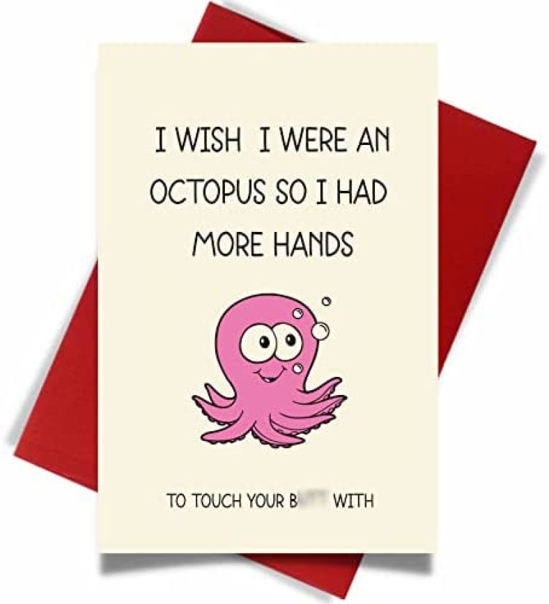 Cheerin Valentine’s Day Cards for Him or Her | Anniversary Card | Gifts for Him or Her | Fun Gift Birthday Card for Husband Wife Boyfriend Girlfriend Men Women