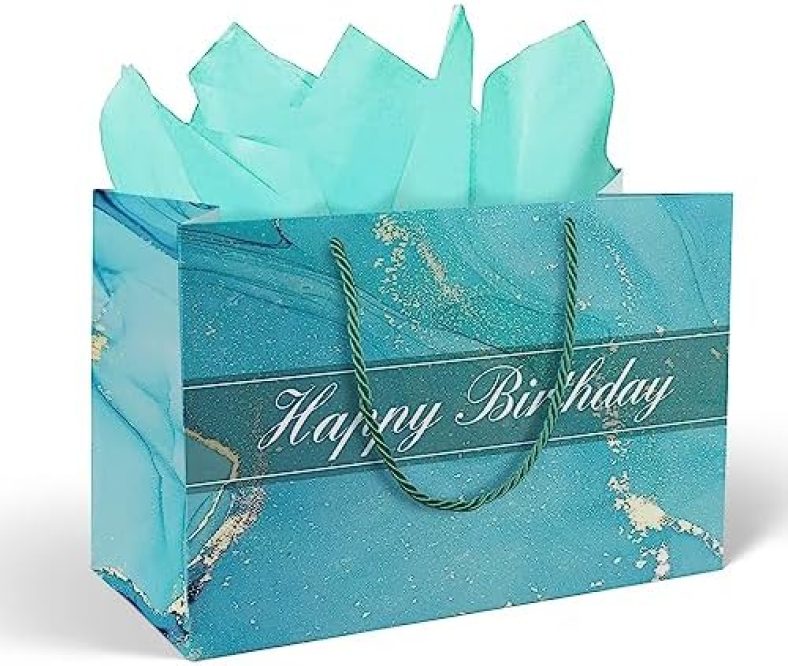 Pandecor 13″ Large Gift Bag with Handle and Tissue Paper for Boys, Girls, Women and Men’ Birthdays Party (1 blue)