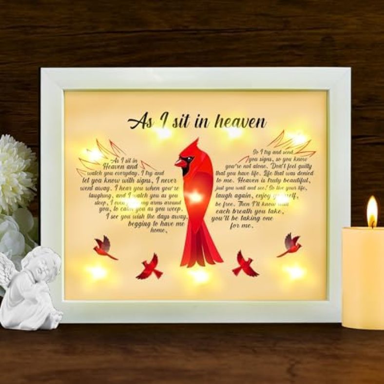 Memorial Gifts LED Shadow Box – Cardinal Gifts for Loss of Husband Wife Dad Mom Sympathy Gift in Memory of Loved One Gifts,Funeral Rememberance Condolences Bereavement Gift Ideas to Relieve Grief