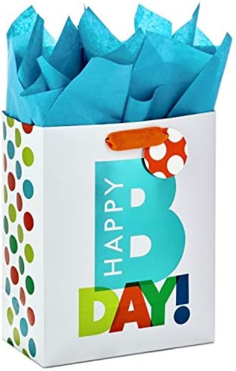 Hallmark 9″ Medium Gift Bag with Tissue Paper for Birthdays (Happy Bday)